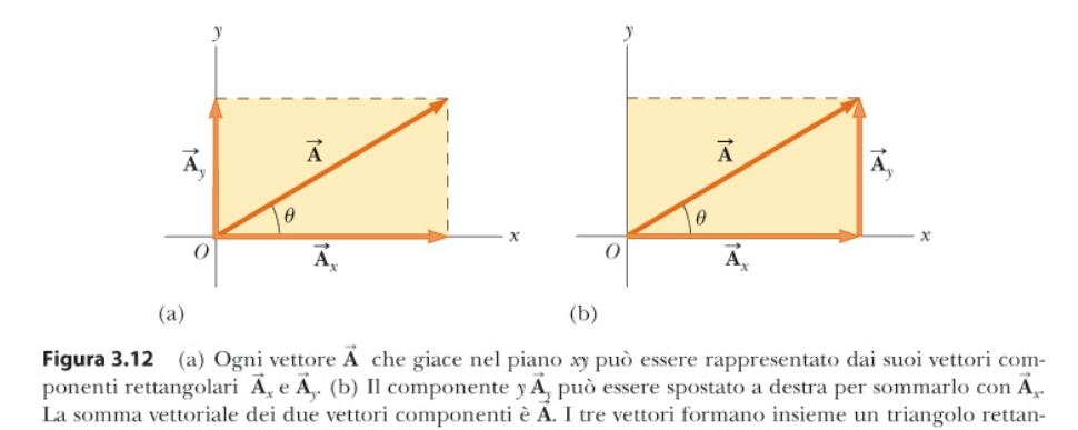 Componenti di un vettore Componenti di un vettore