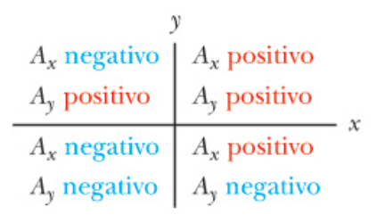 Segni dei componenti di un vettore nel piano cartesiano Segni dei componenti di un vettore nel piano cartesiano