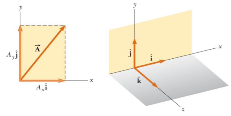 Vettori unitari Vettori unitari
